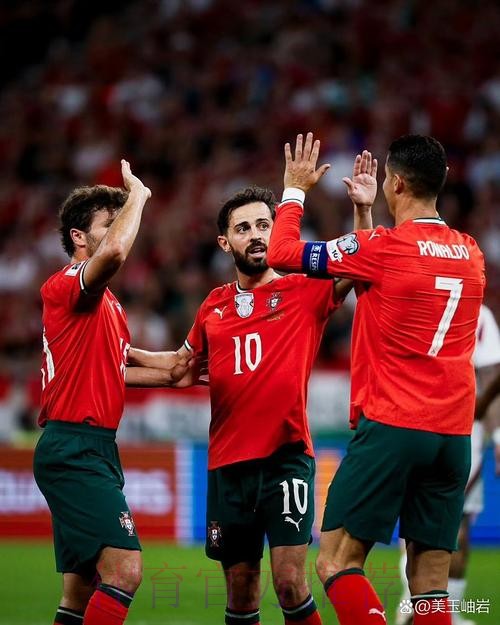 2026世界杯法国C罗比赛解读全面分析 2026世界杯法国C罗比赛解读全面分析