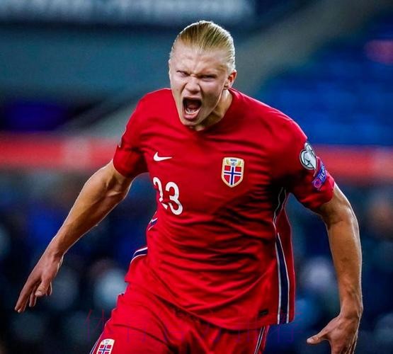 世界杯荷兰哈兰德比赛解读最新更新